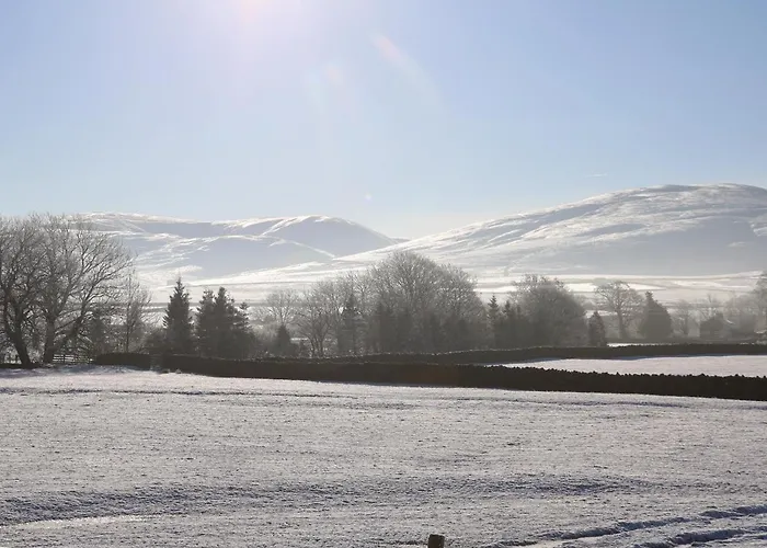 Fig * Kirkby Stephen